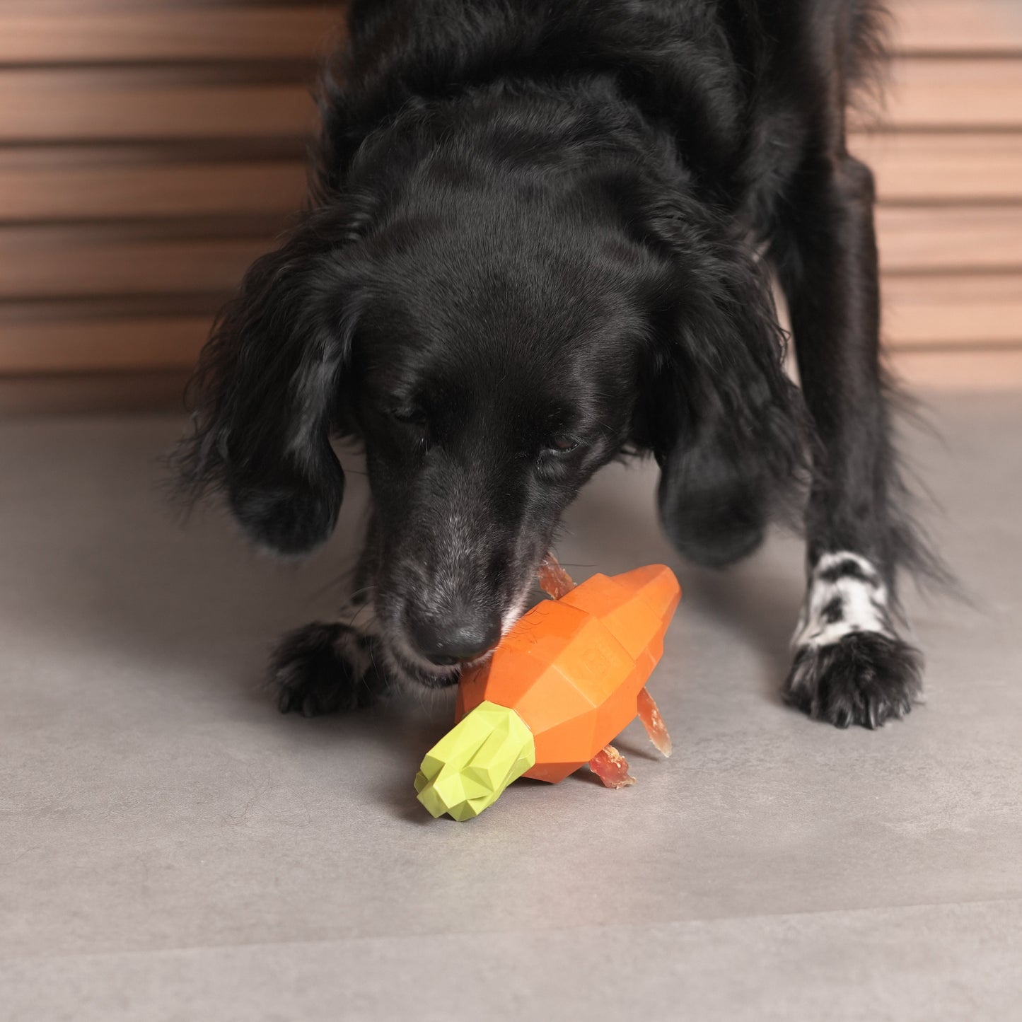 Zee.Dog | Super Veggiez Carrot