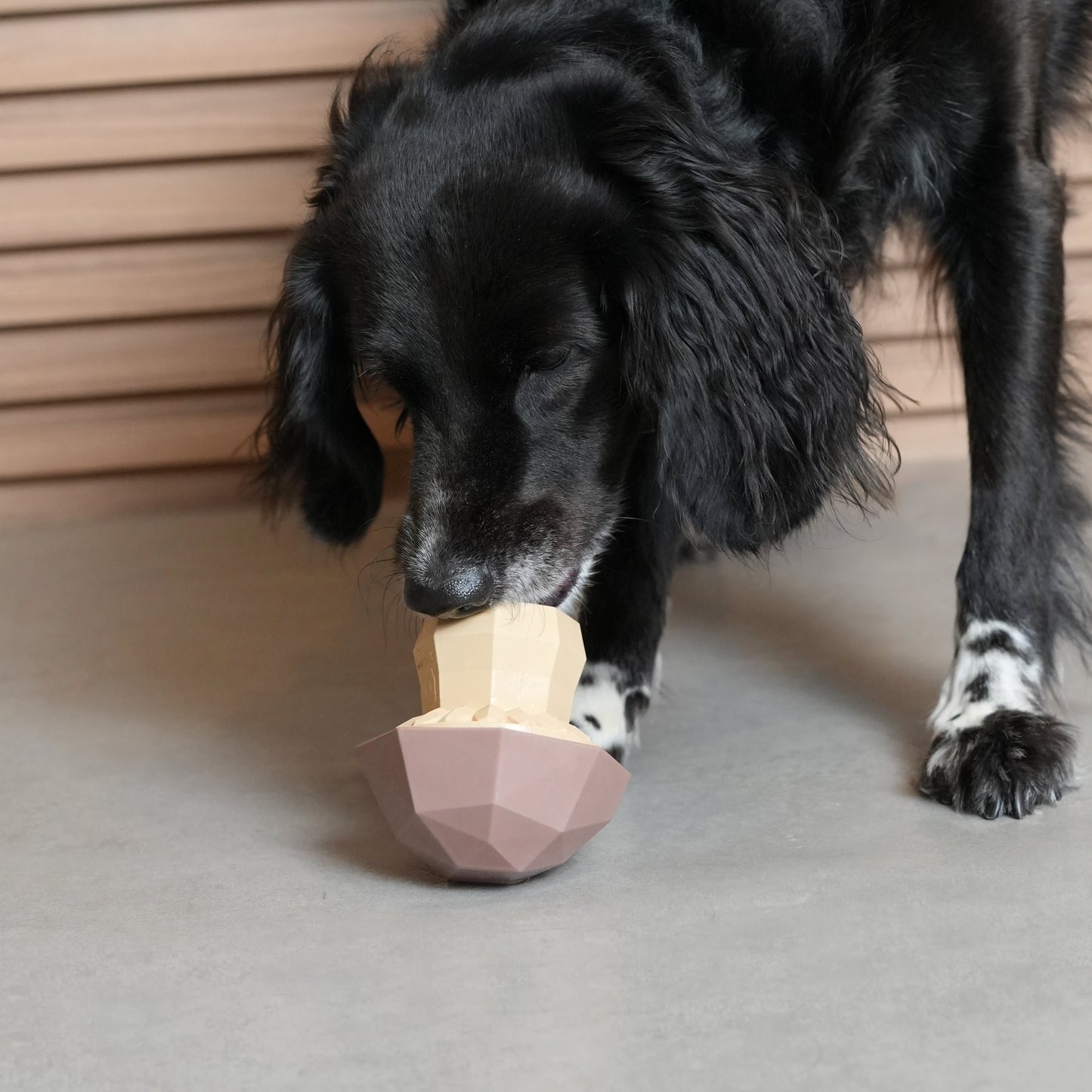 Zee.Dog | Super Veggiez Mushroom