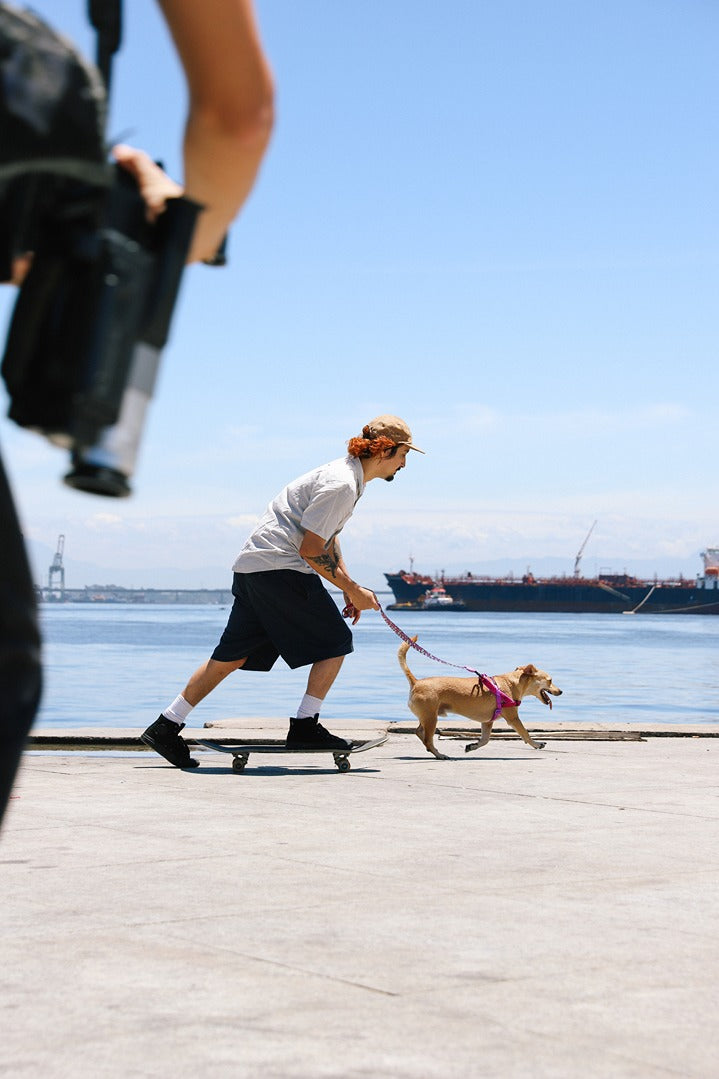 Lords Of Zee.Town Brain Softer Walk Göğüs Tasması - Zee.Dog