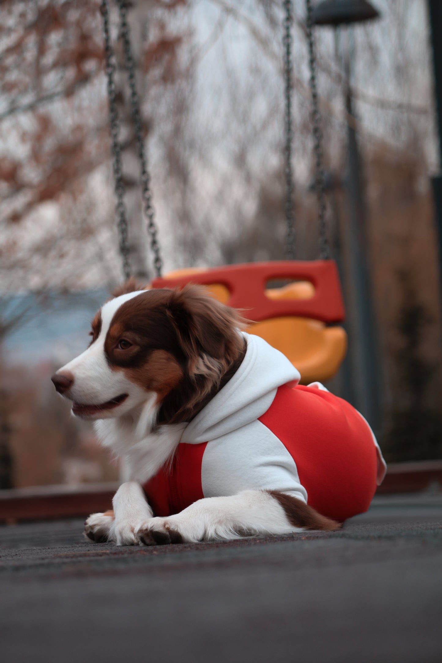 ASKY&ERD | Tangerine | Hoodie