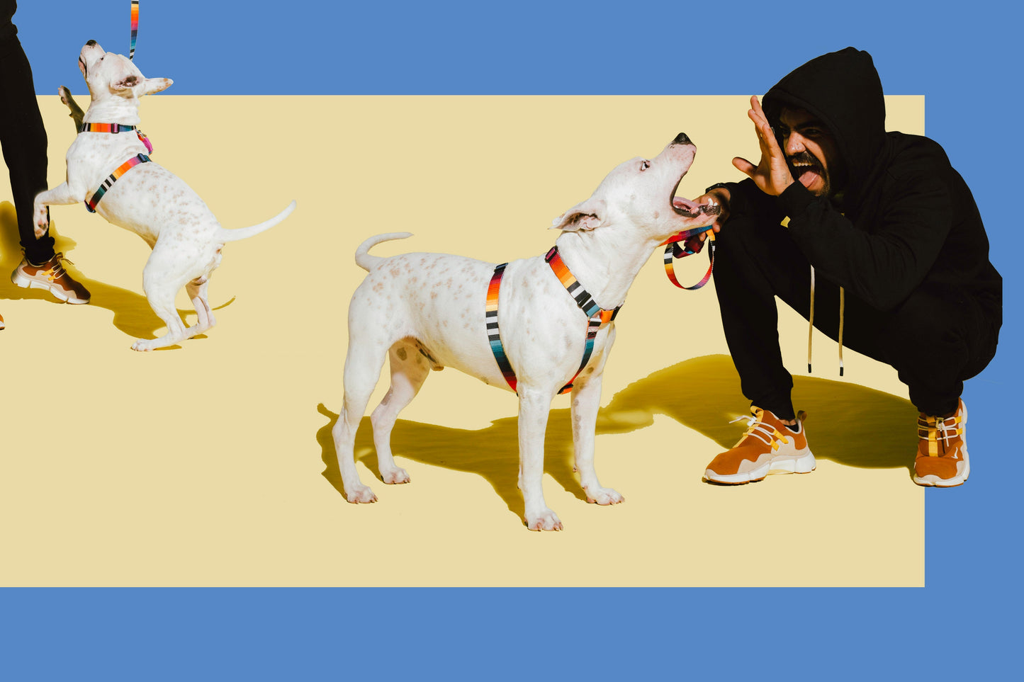 Prisma Göğüs Tasması - Zee.Dog