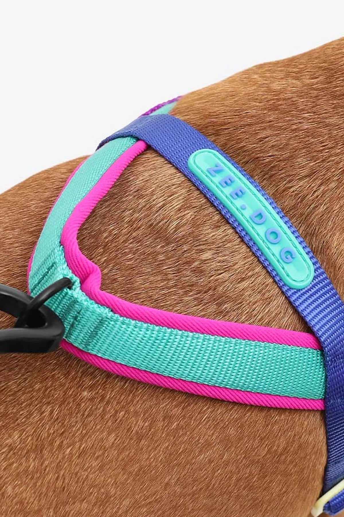 Shockwave Softer Walk Göğüs Tasması - Zee.Dog