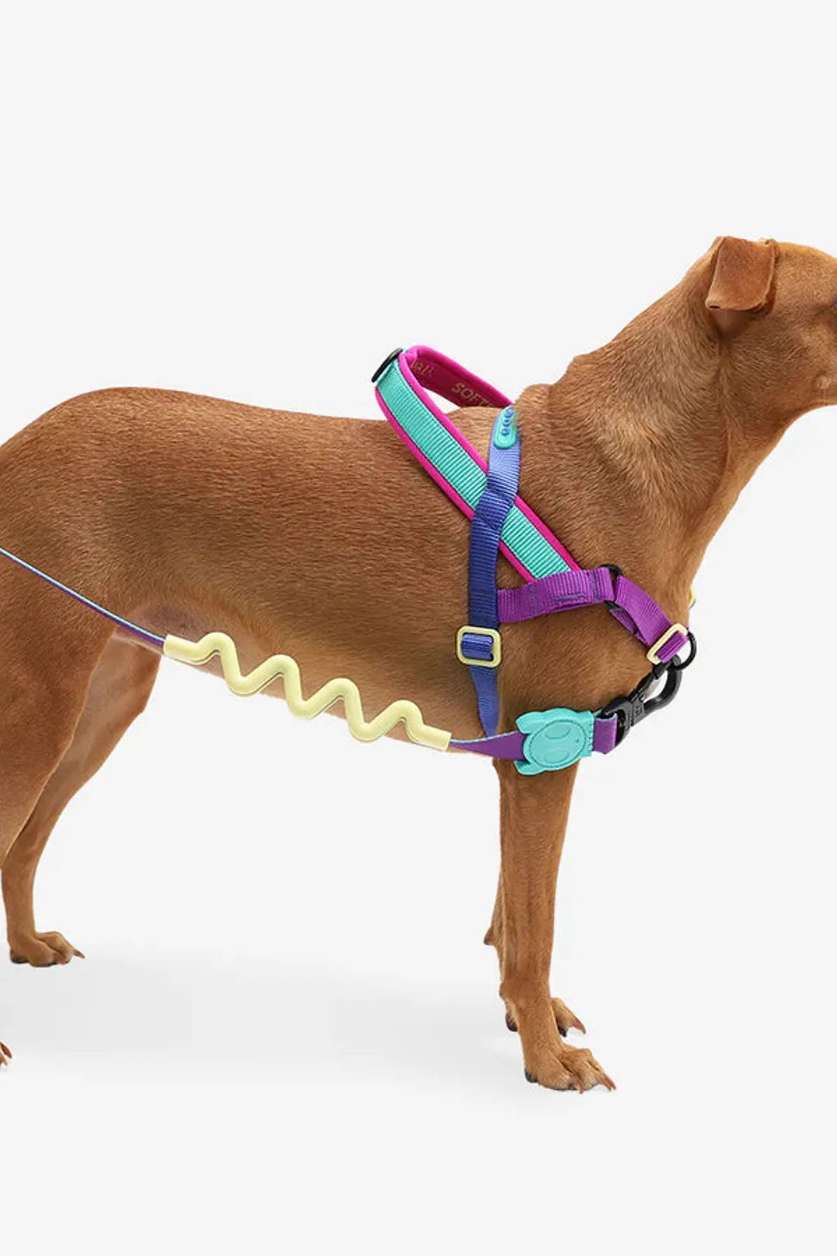 Shockwave Softer Walk Göğüs Tasması - Zee.Dog