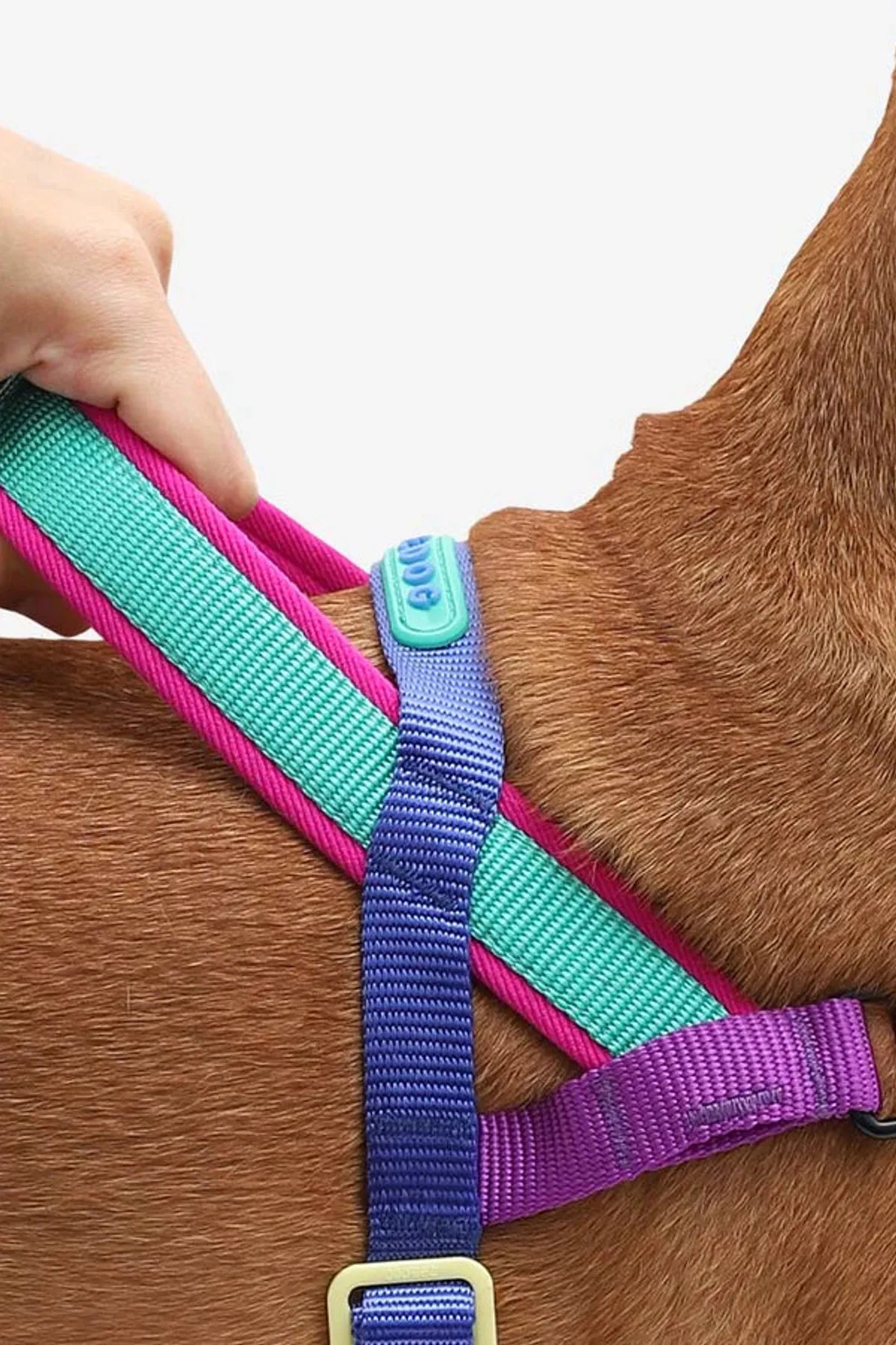 Shockwave Softer Walk Göğüs Tasması - Zee.Dog