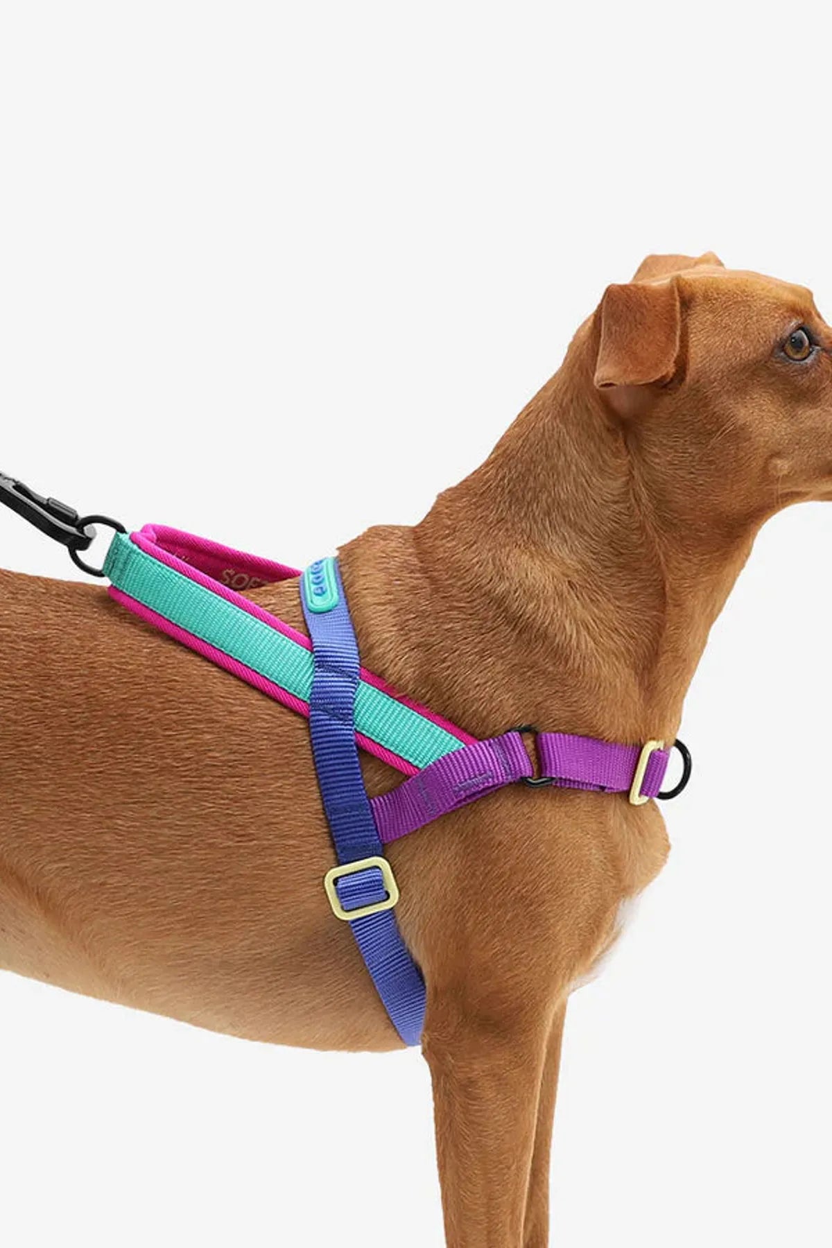 Shockwave Softer Walk Göğüs Tasması - Zee.Dog