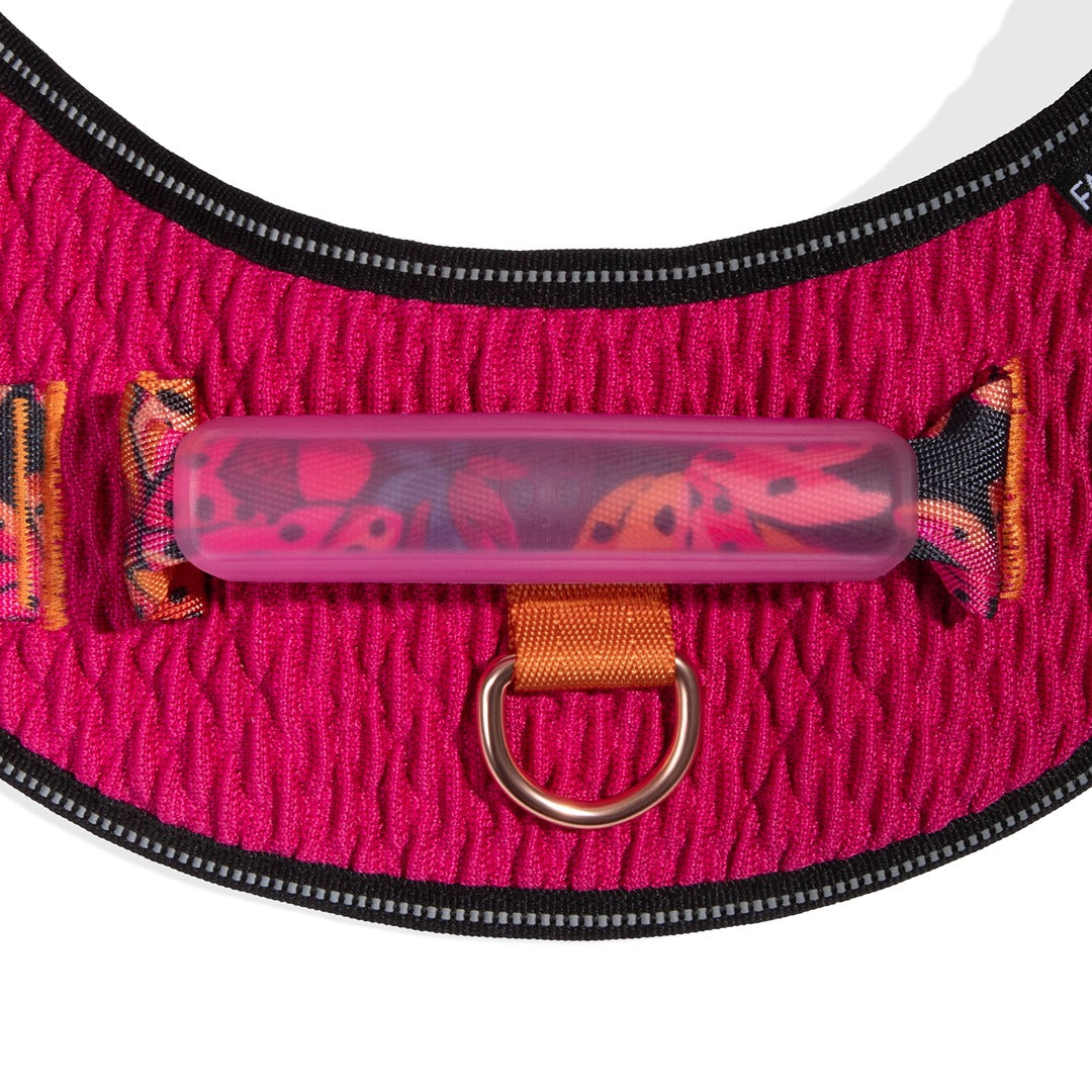 Selva Flyharness Göğüs Tasması - FARM Rio × Zee.Dog