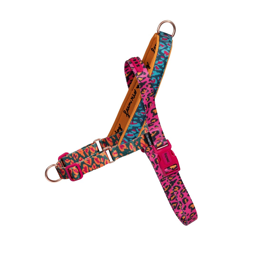 Selva Softer Walk Göğüs Tasması - FARM Rio × Zee.Dog