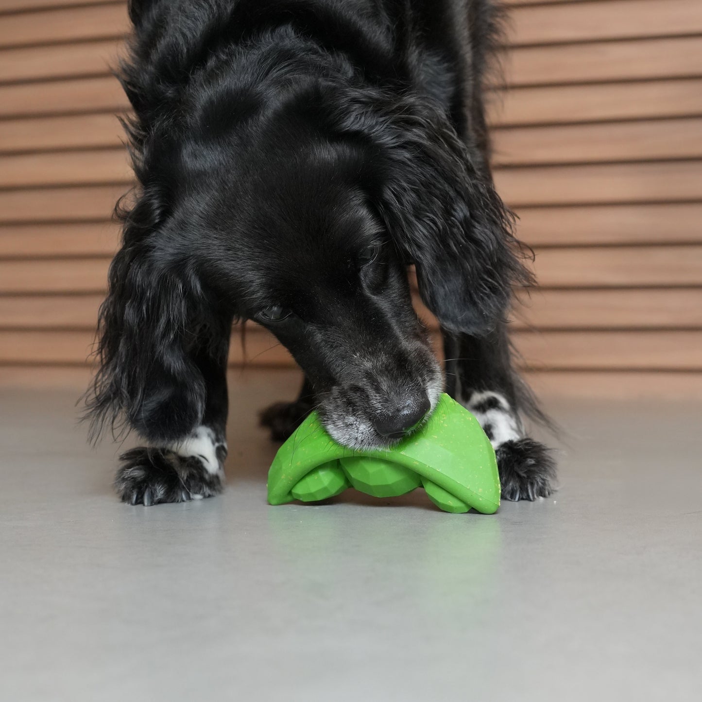 Zee.Dog | Super Veggiez Green Bean