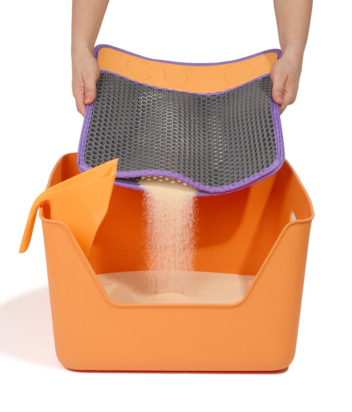 CDSG Kedi Kumu Toplama Paspası | Cansei de Ser Gato Türkiye