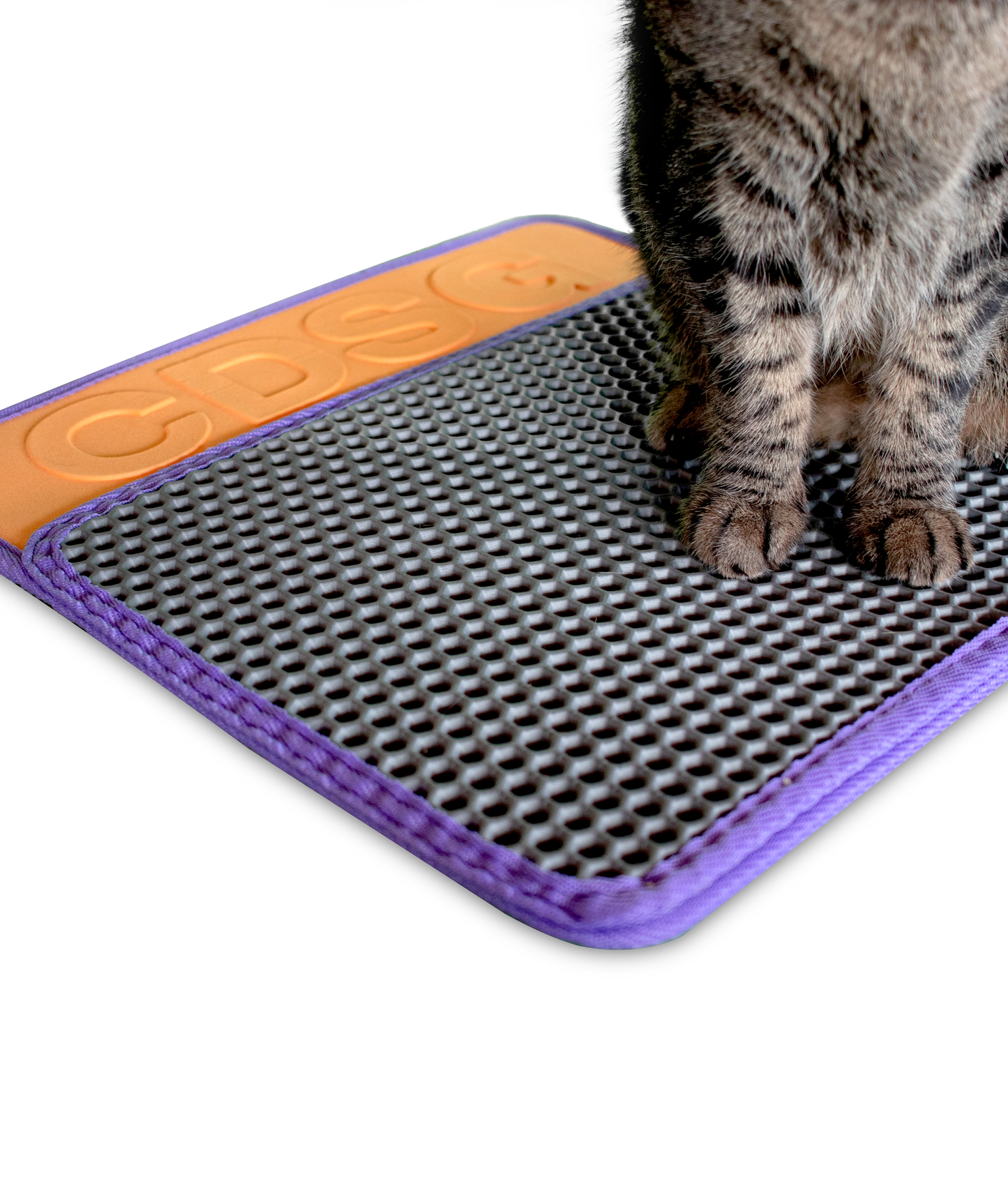 CDSG Kedi Kumu Toplama Paspası | Cansei de Ser Gato Türkiye