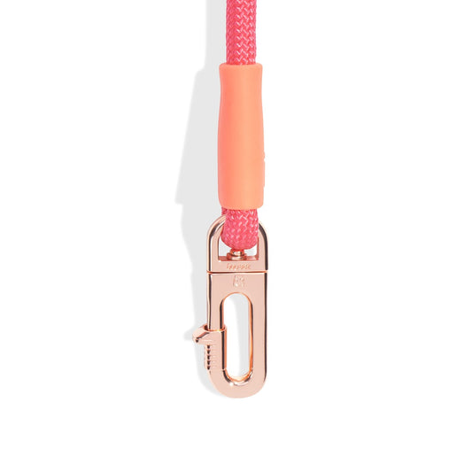 Gazelle Handsfree Halat Gezdirme Tasması - Zee.Dog