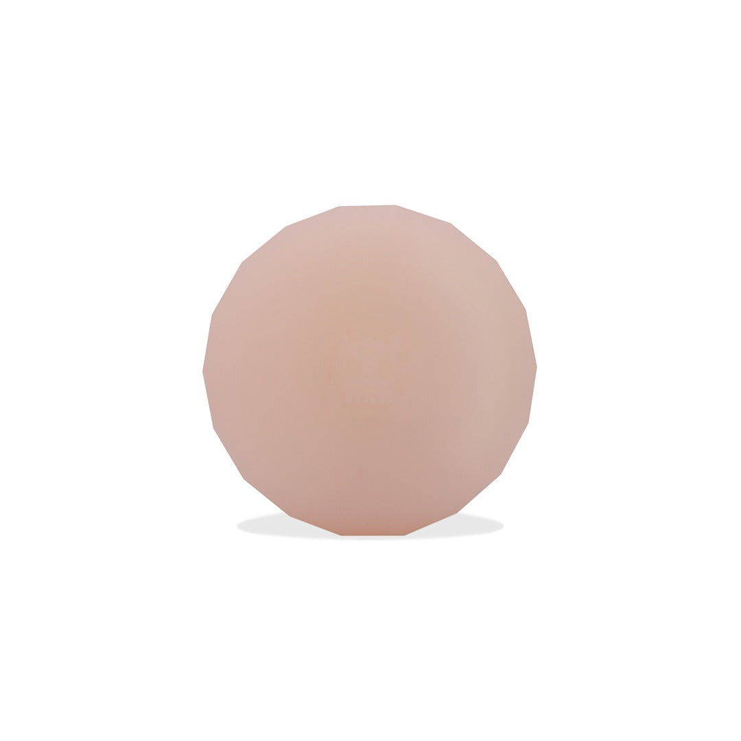 PINK Zee.Dog AIRTAG Kılıfı