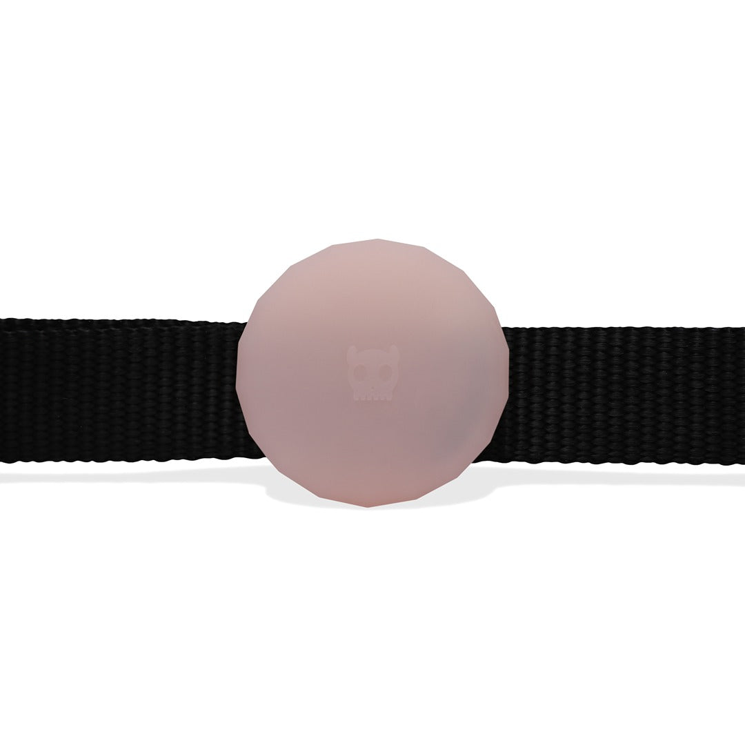 PINK Zee.Dog AIRTAG Kılıfı