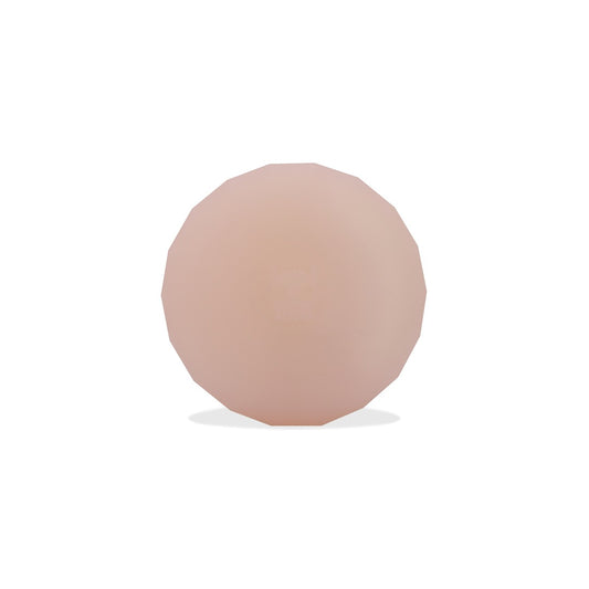 PINK Zee.Dog AIRTAG Kılıfı