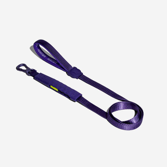 Violet Airleash Gezdirme Tasması - Zee.Dog