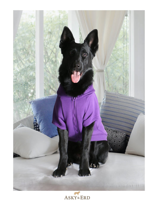 ASKY&ERD | Violet | Hoodie