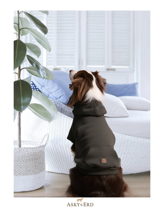 ASKY&ERD | Khaki | Hoodie
