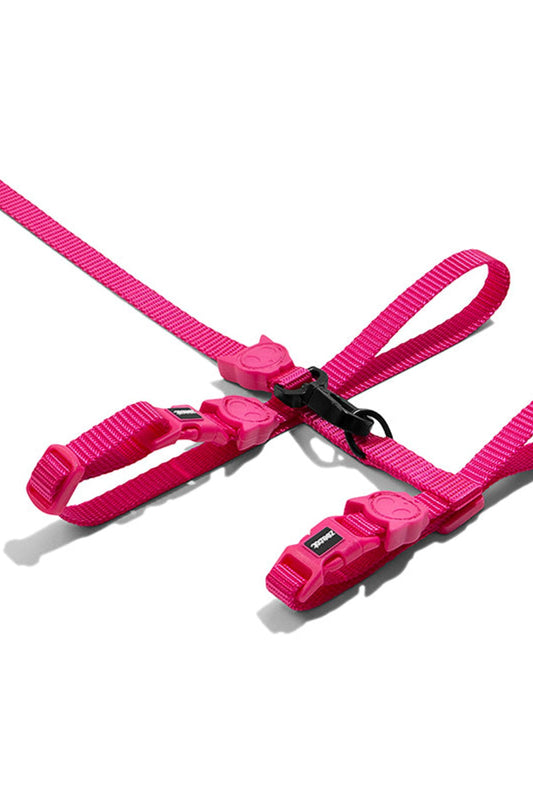 Pink LED Kedi Göğüs ve Gezdirme Seti - Zee.Cat