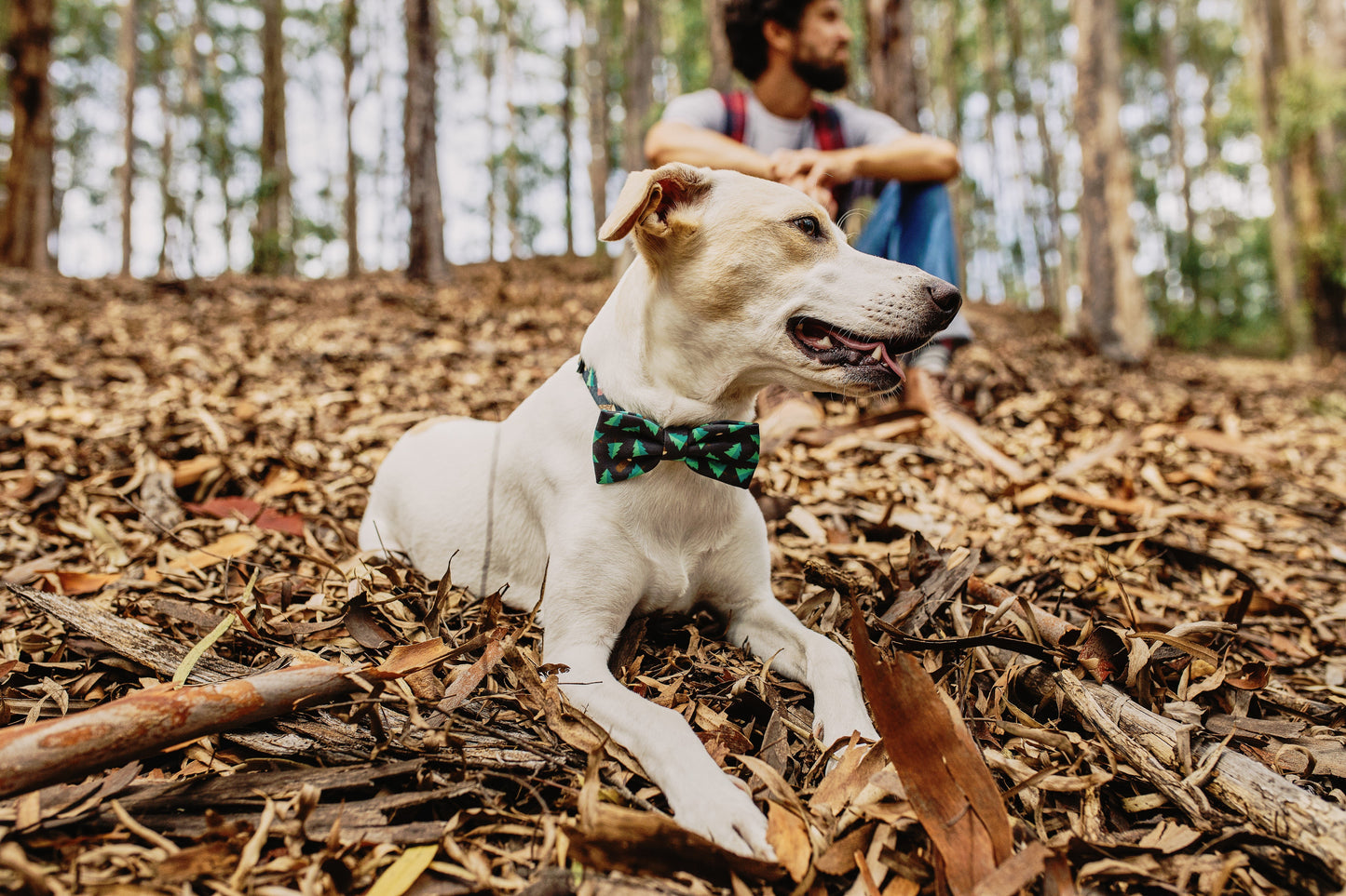 Woods | Papyon