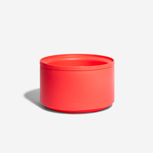 Zee.Bowl Coral | Yüksekliği Ayarlanabilir Mama Kabı
